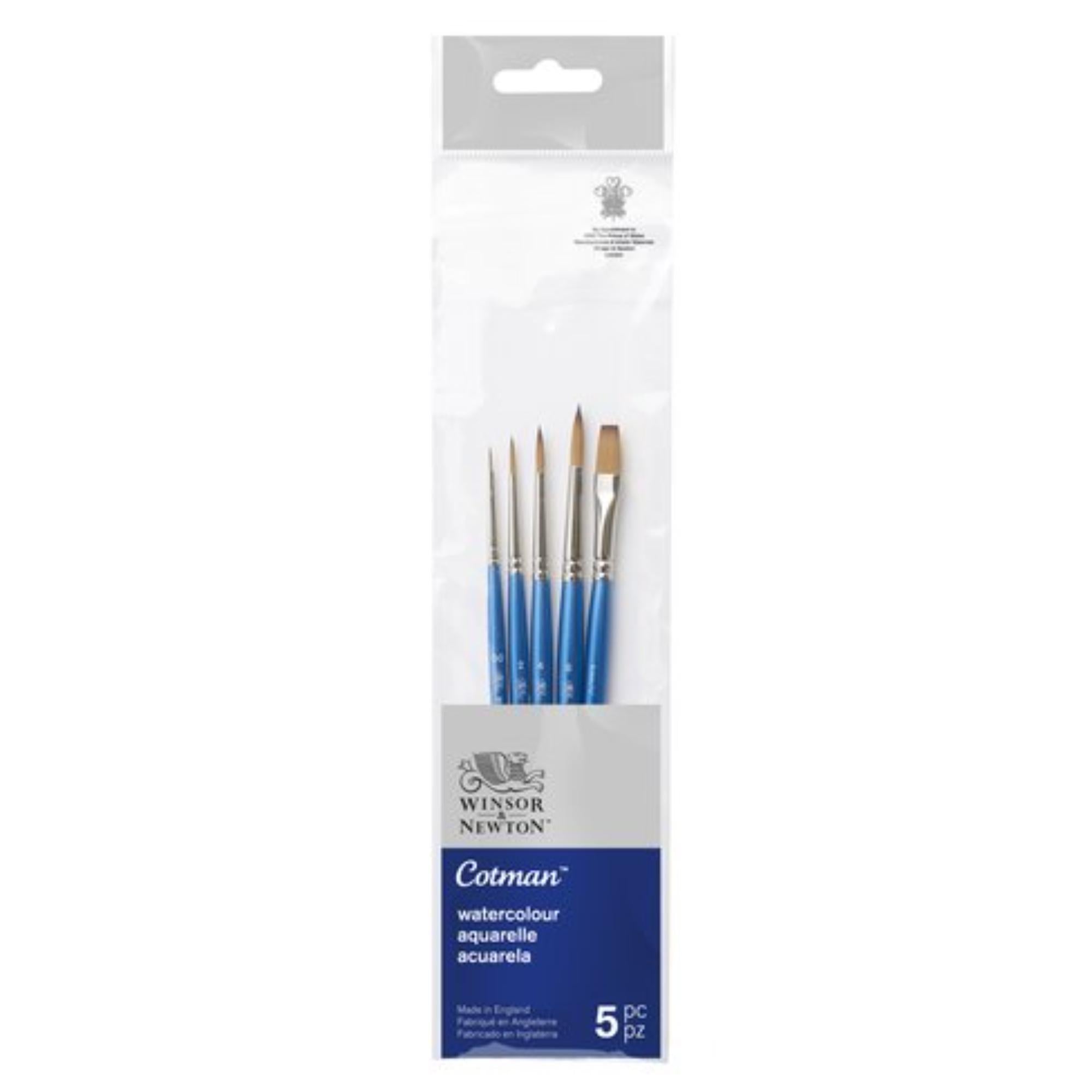 Set 5 Pinceles Cotman Winsor & Newton Mango Corto V1